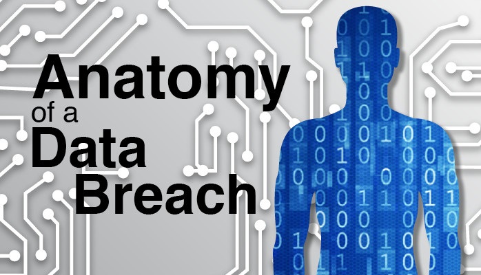 The Anatomy of a Data Breach: Identifying Vulnerabilities and Strengthening Defenses